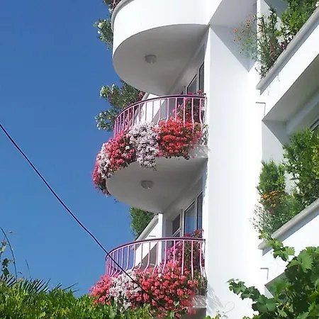 Pensjonat Jana Gmina Pomorie