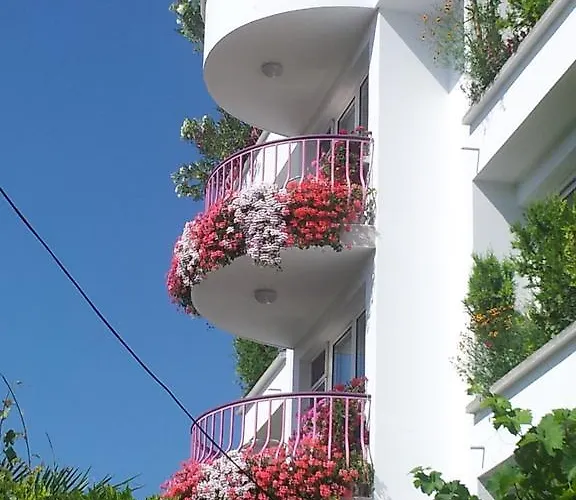 Гостевой дом Jana Поморие